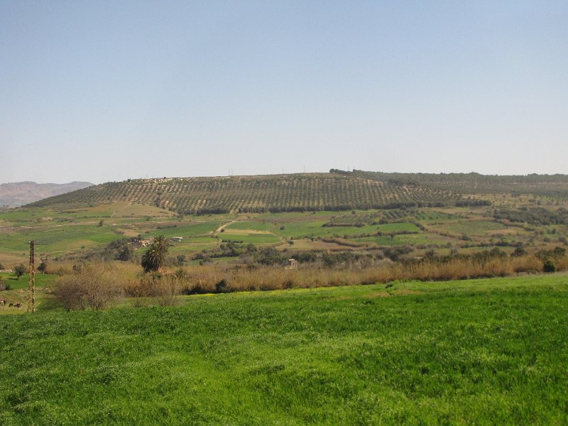 130312_landschap 2 marokko.jpg - Na een overnachting in Rabat gaat de reis de binnenlanden in. Vanuit de bus zien we een verrassend groen Marokko.